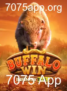 Explorando o Mundo do Jogo BuffaloWin: Regras, Estratégias e Novidades